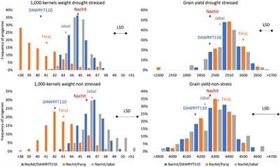 Genomic regions involved in the control of 1,000-kernel weight in wild relative-derived populations of durum wheat